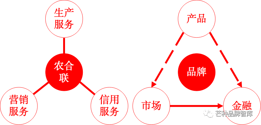 浙江两会丨代表建议逐步、适当放开冻卵限制，探索建立卵子库