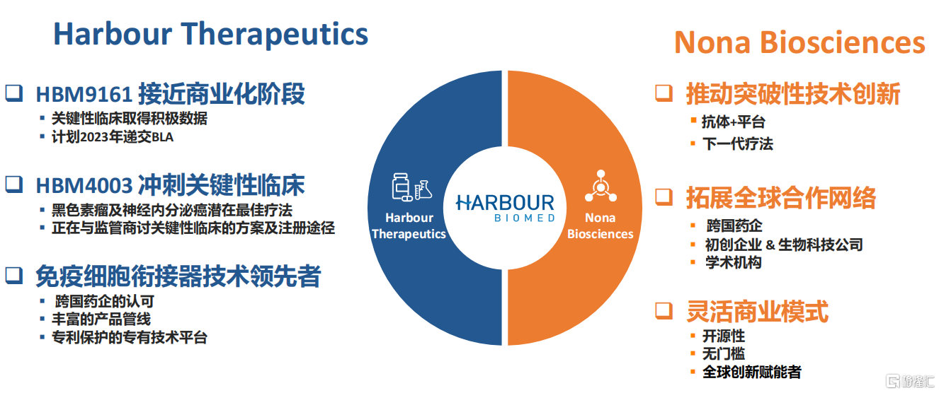 和铂医药-B盘中涨超5% 针对治疗慢性阻塞性肺病药物临床获批